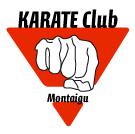 karate logo 2013